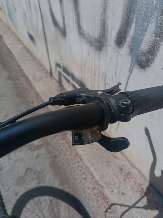 GESTALT 29-29 дюйм