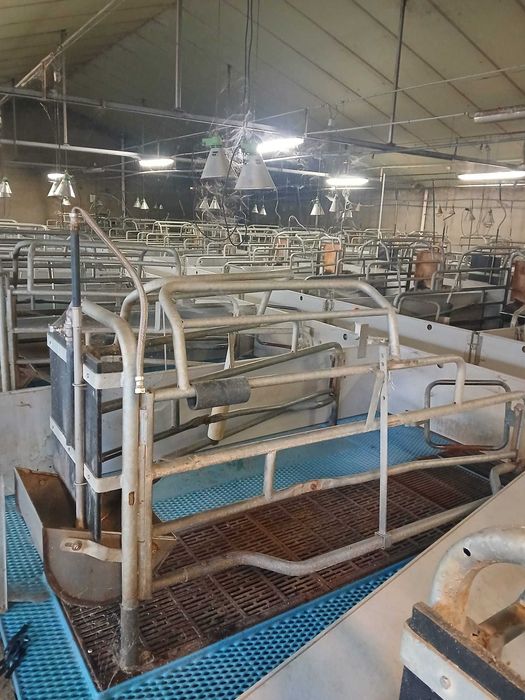 Boxe pentru fătare și furajare de vânzare