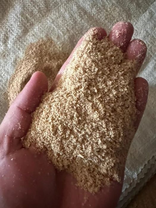 Продам пшеницу сухую