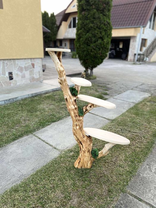 Vand suport de vinuri/carti/flori