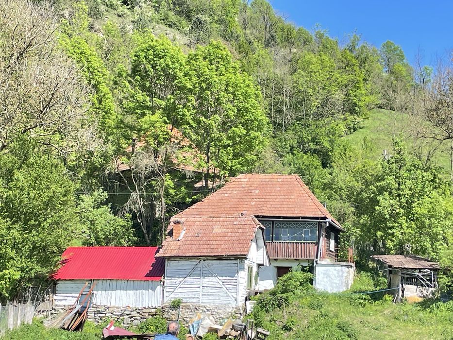 Vand casa veche Ocolis, jud. Alba. 2835 mp teren