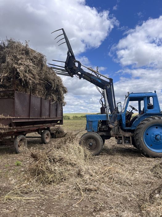 Мтз 80 хорошем состояни