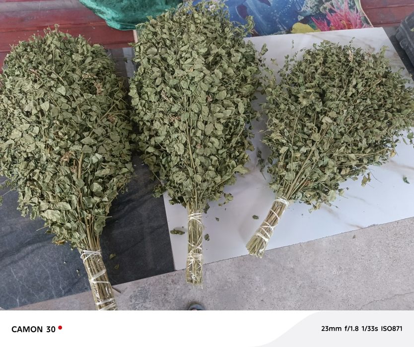 Веники для бани из солодки.