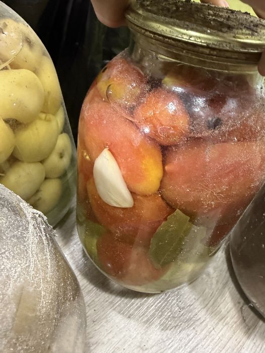 Продам соленья огурцы салаты