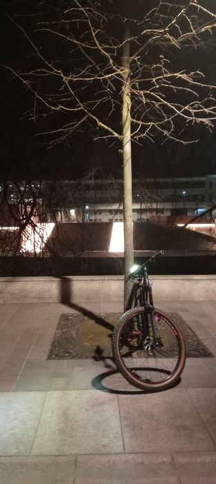 Vand Hardtail agresiv Ns Eccentric alu evo 29