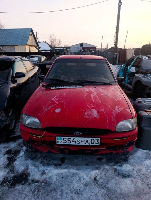 Разбор полный    .