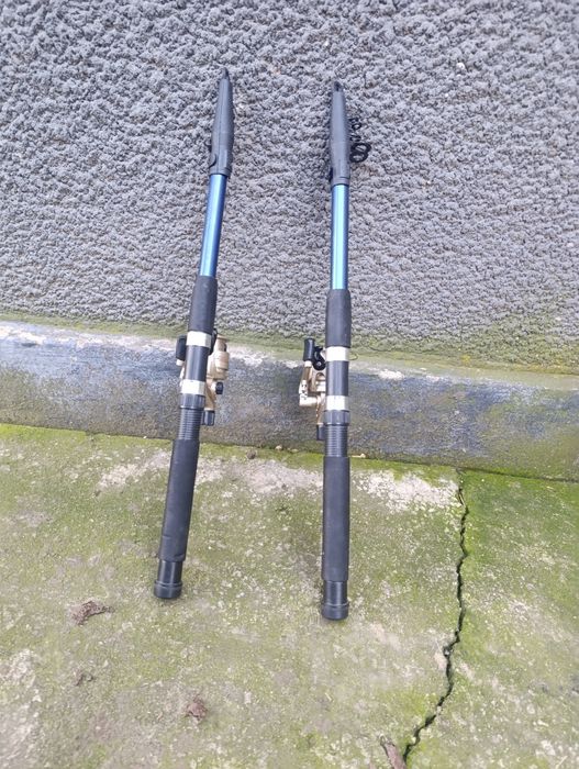 Lansete de caras și crap