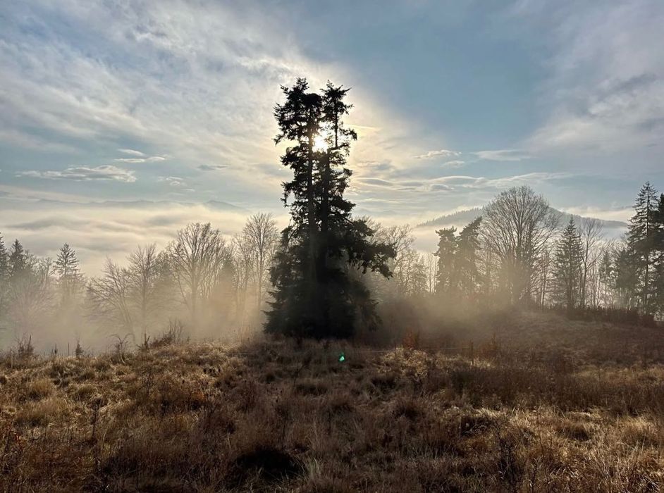 Teren la munte Intravilan