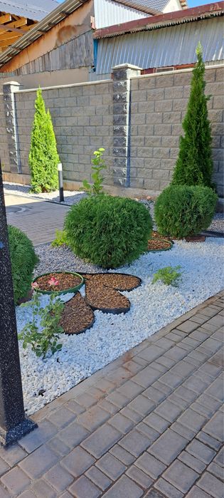 Озеленение под ключ