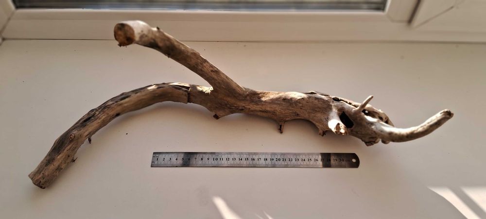 Коряги для аквариума