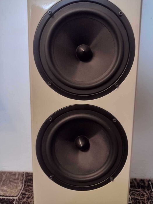 Boxe Dyna Voice Challenger M-65