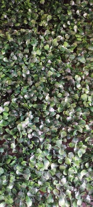 Искусственные ростительные коврики 60х40