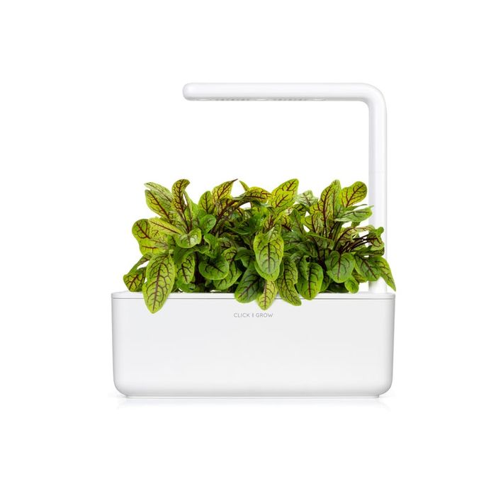 Smart Garden 3 - градина за дома в бяло