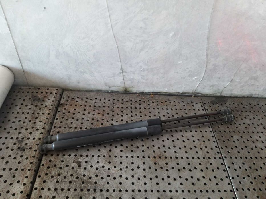Telescoape amortizoare haion renault clio 4 844308661r