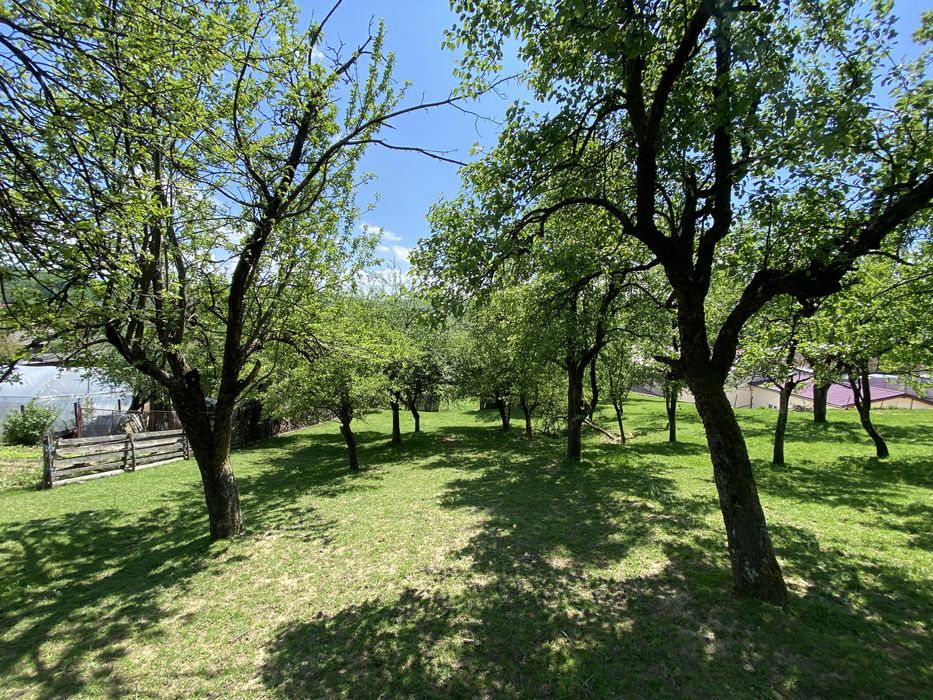 Casă de vânzare + livadă