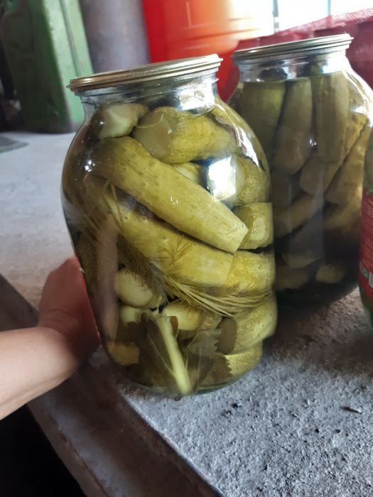 Соленье из огурцов