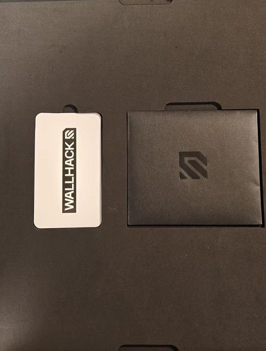 Коврик SkyPAD Wallhack SP-004 Hatsune Miku Edition