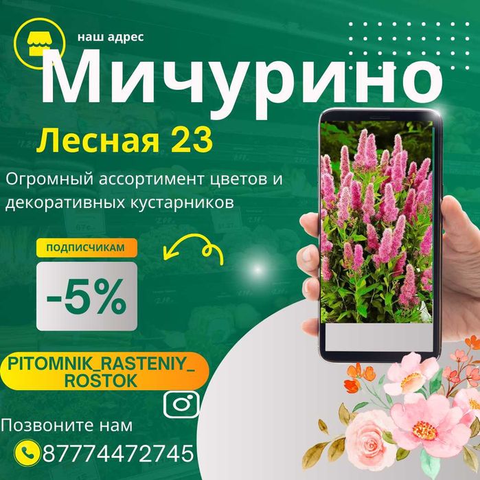 Цветы петуния, саженцы, деревья.