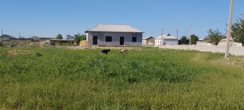 Uy sotiladi 12 sotix