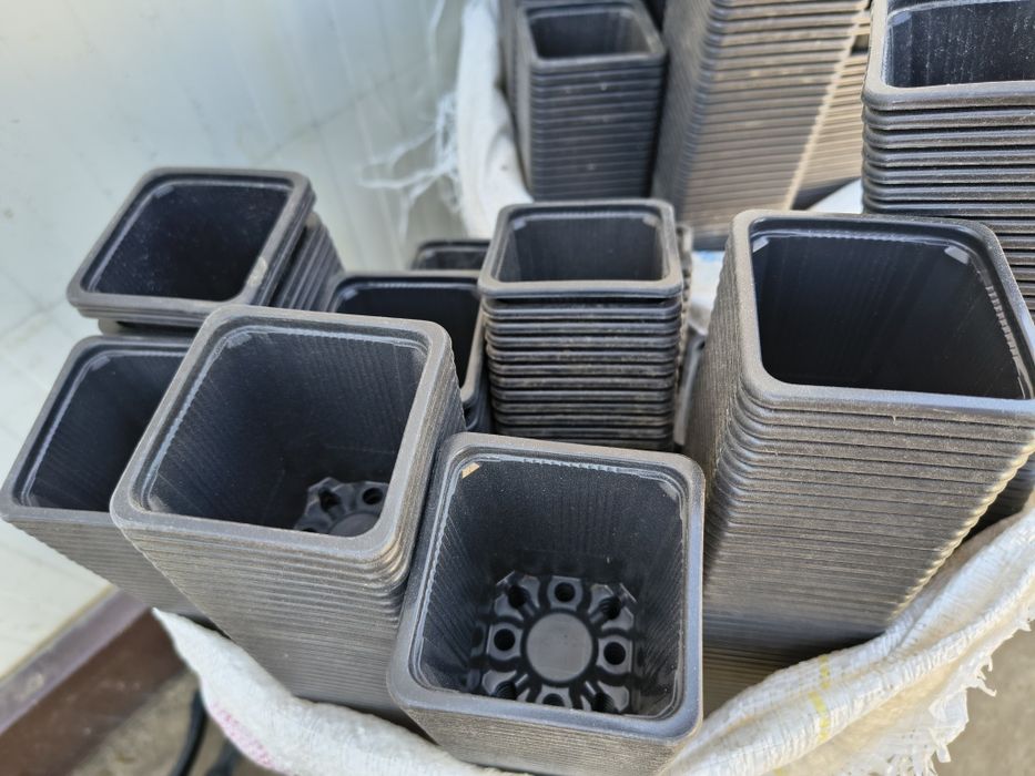 Pahar rasad 7x7x8cm, alveole și ghiveci
Acasa
Alveole si ghiveci