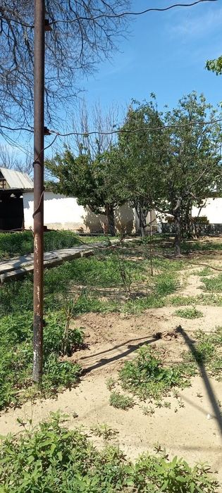 Oazisda  Dacha sotiladi yoki  almashtiramiza