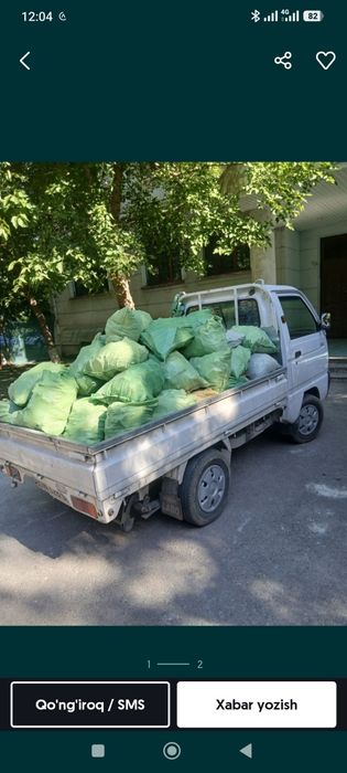 Musir olib ketamiz