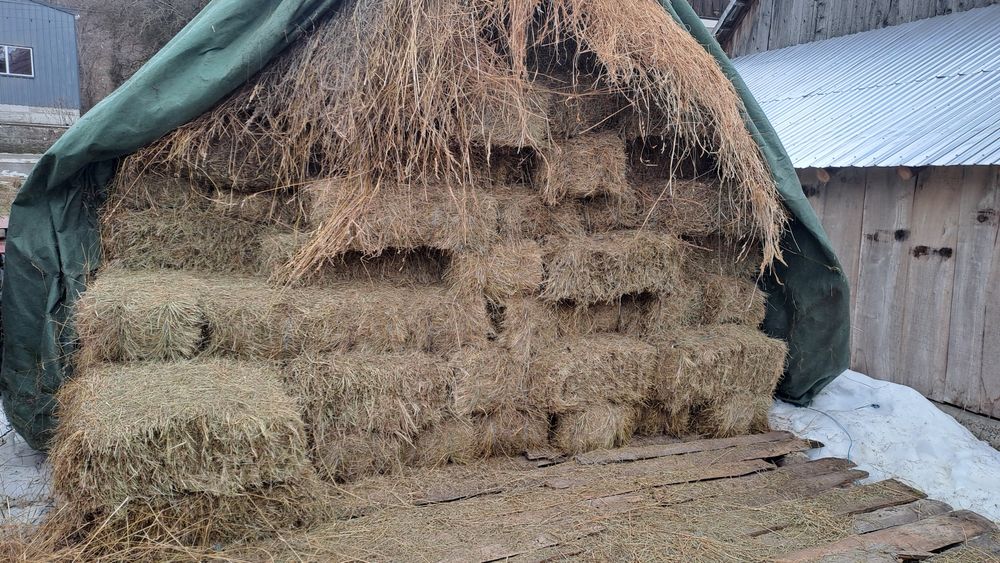 Baloți FÂN ȘI OTAVĂ.  .