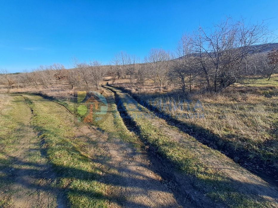 Продава се Земеделски имот в с. Велика, Област Бургас -  кв.м за 4875 €/дка - Снимка #9