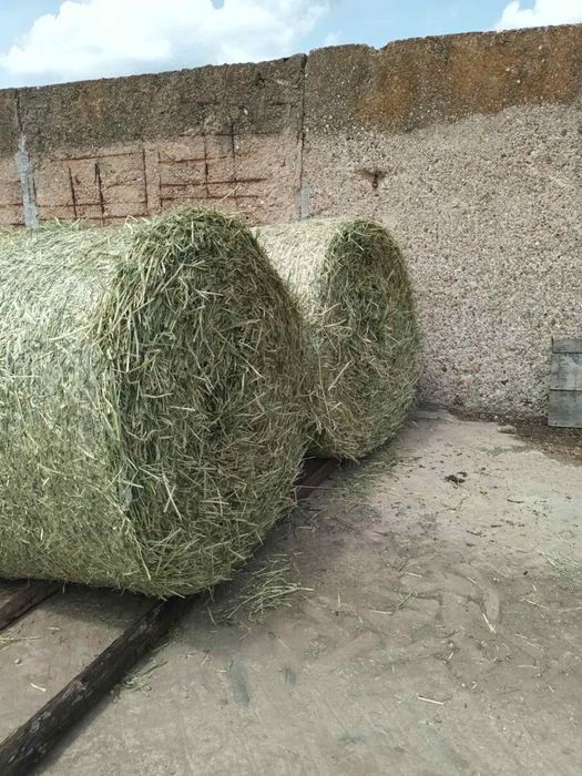 Продавам Бали - Ръж