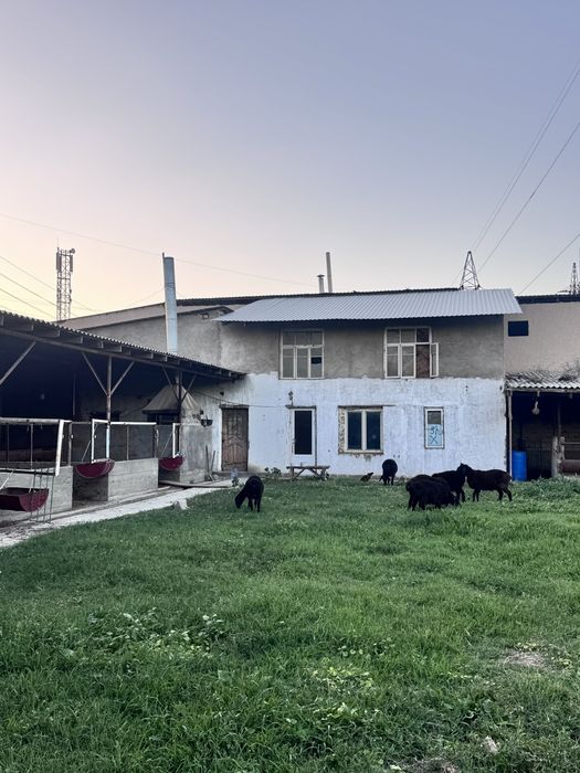 10 700 y.e sotigi  narxini kelishamiz kami bor