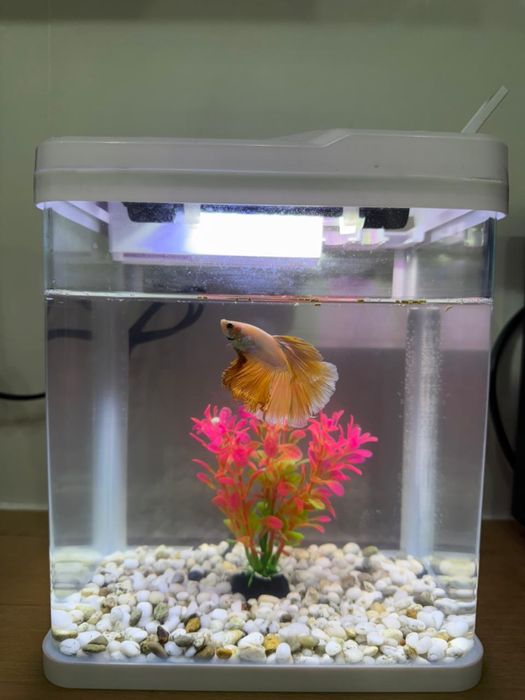 Аквариум 5л дайын