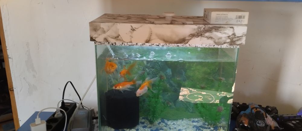 Продам срочно аквариум
