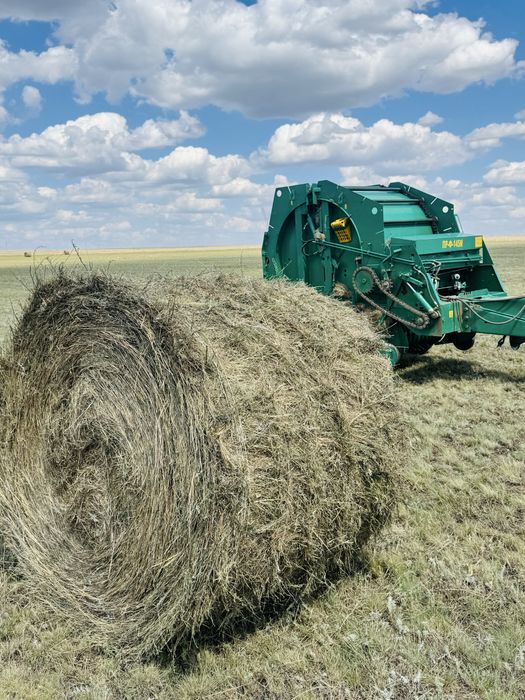 Сено плотное разнотраве