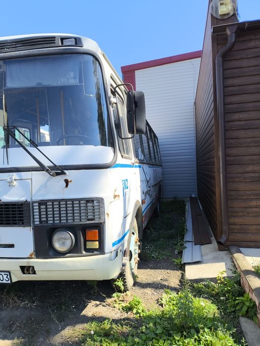 Продам паз. 30 мест