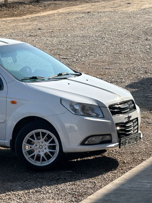 Samurai diska universal R16 xolati ideal