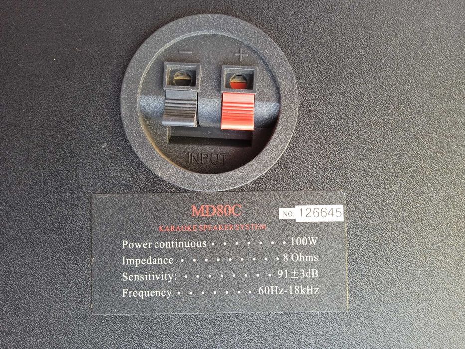 Караочные колонки 8" по 100W