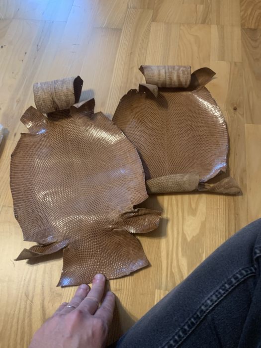 Piele naturala varan reptila exotica