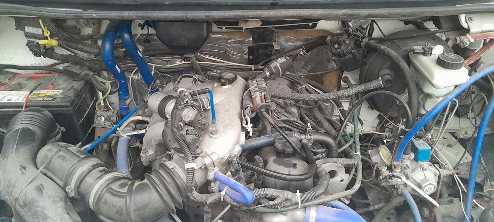 Gazel fermer sotiladi eil 2014