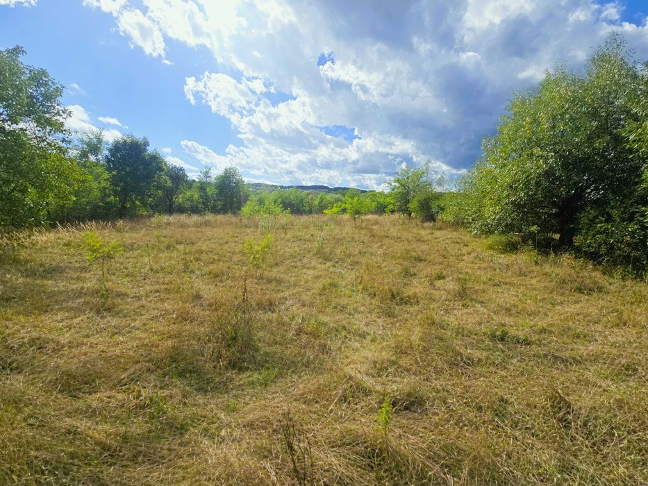 Teren intravilan 4.280 mp - Dobreni, Neamț - asfalt, 65 m deschidere