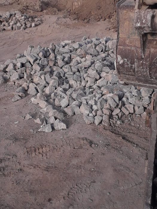 Блужник  БЛУЖНИК