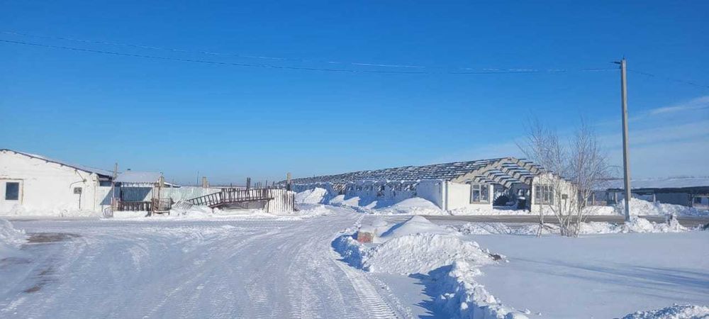 Продается Крестьянское хозяйство