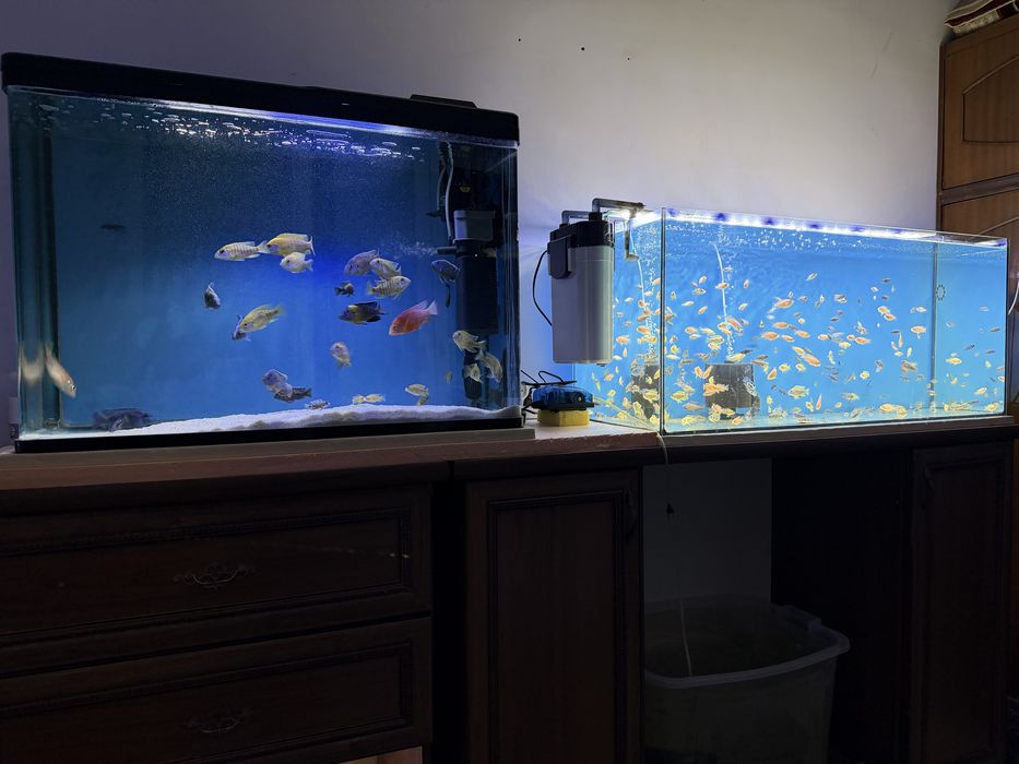 2ta katta akvarium filtrlari bilan 150$