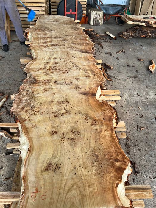 Blat plop, rasina epoxidica