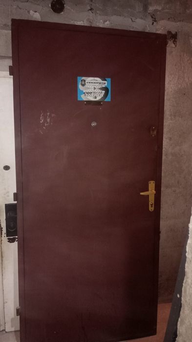 Метални  входни врати