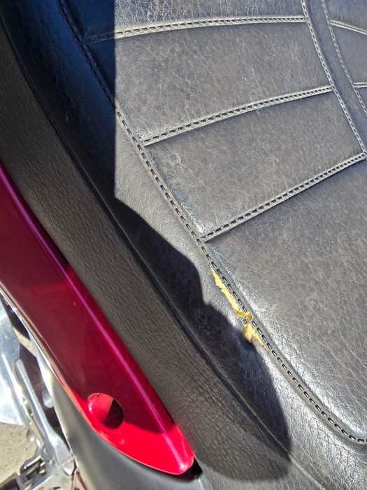 Yamaha XJ600s Diversion