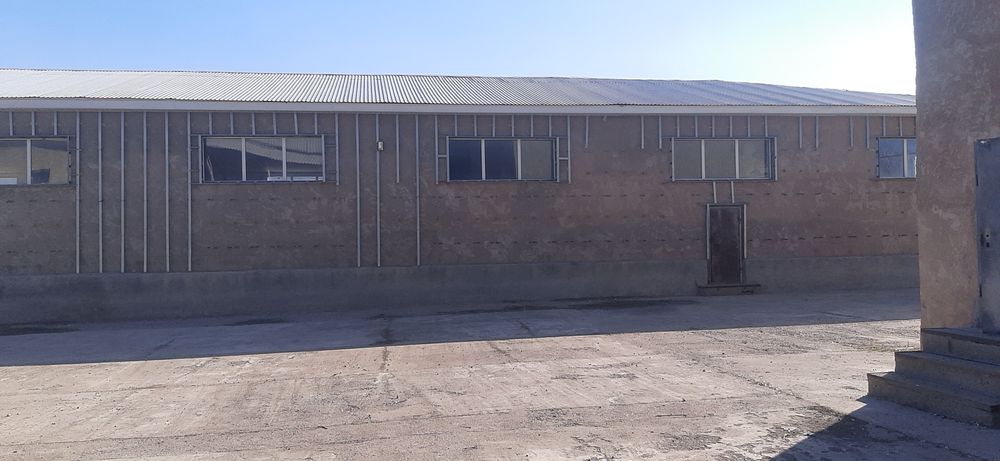 Сдам в аренду помещение 12×24м