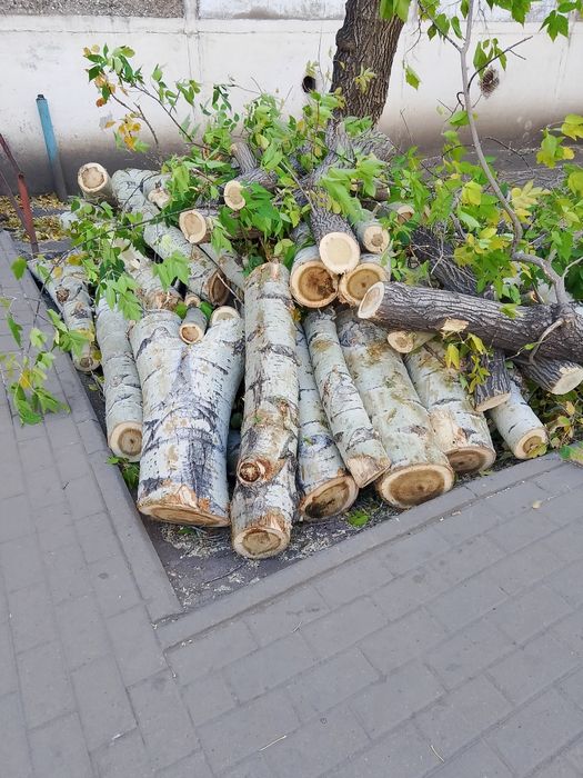 Продаю дрова на печь