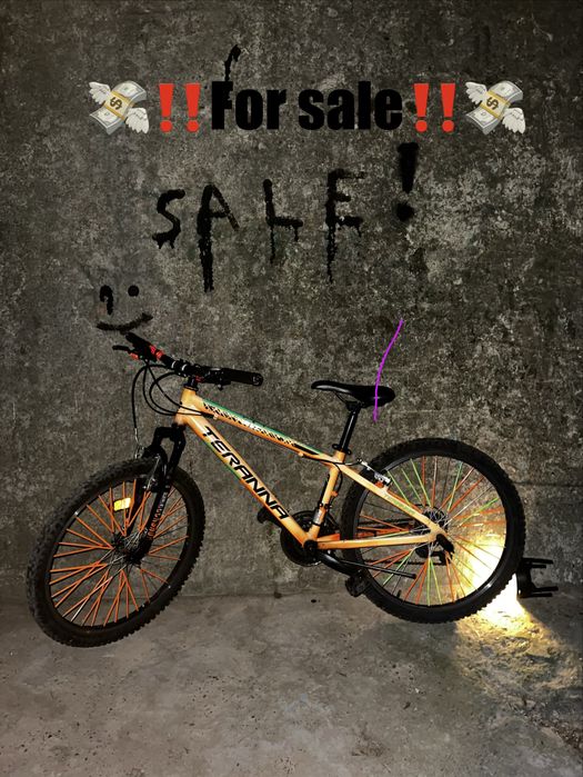 Bicicleta Terrana copii/Adulți roți de 24