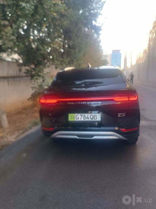 Byd champion ev 550 km