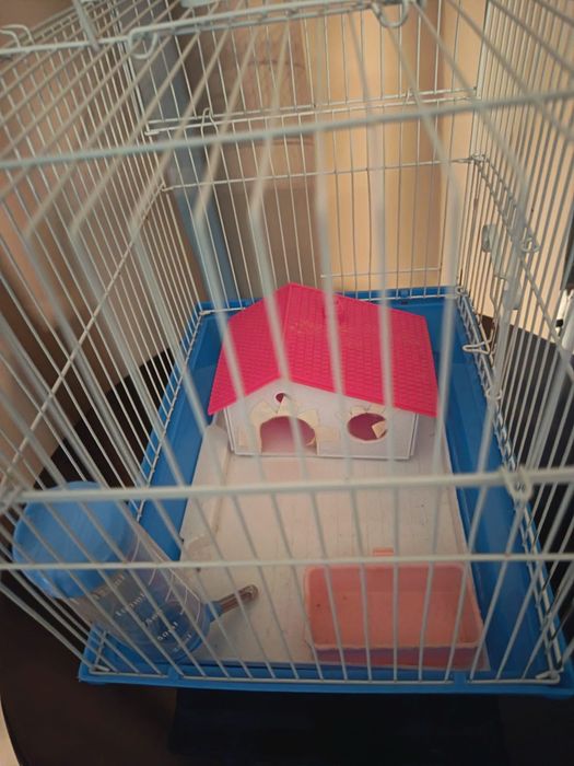 Vând cușcă hamster